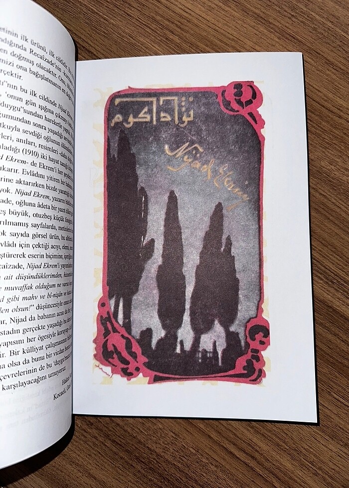 Recaizade Mahmut Ekrem / Nijad Ekrem ve Tefekkür - Görsel 4