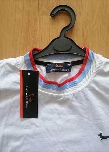 Erkek s beden etiketli tshirt - Görsel 2