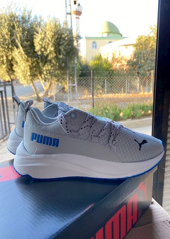 Puma 39