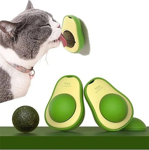 AVAKADO KEDİ NANESİ OYUNCAK