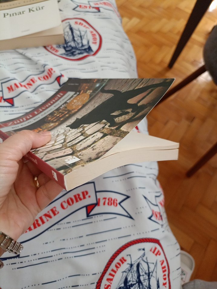 Bir Kedi, Bir Adam, Bir Ölüm - Zülfü Livaneli - Görsel 3