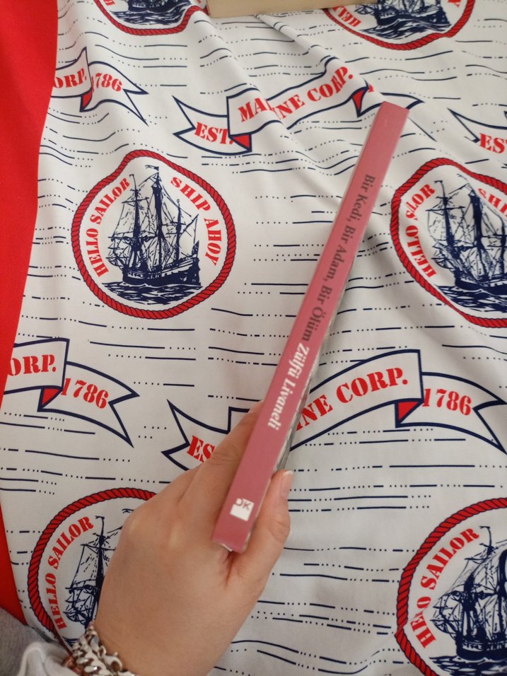 Bir Kedi, Bir Adam, Bir Ölüm - Zülfü Livaneli - Görsel 4