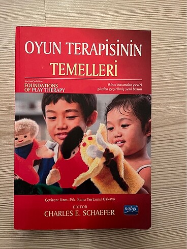 Oyun Terapisinin Temelleri