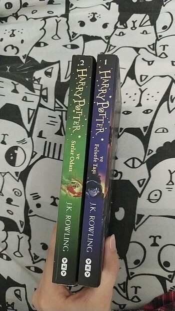  Harry Potter kitap