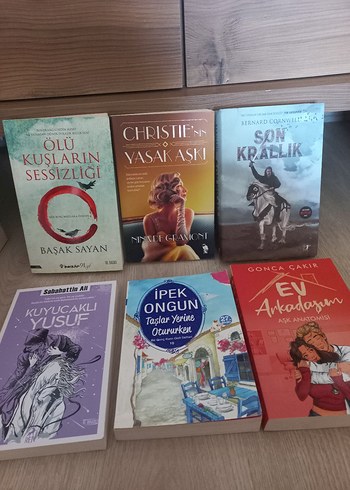 Çeşitli Yazarların Romanları Seti