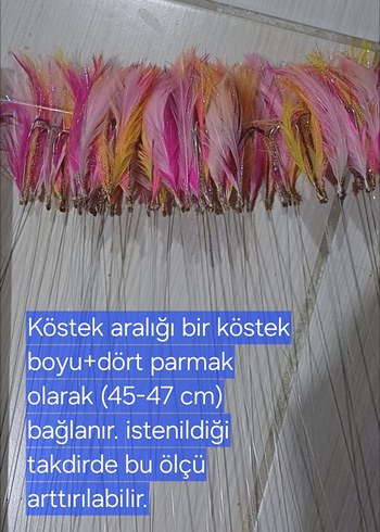 Beden palamut çaparisi
