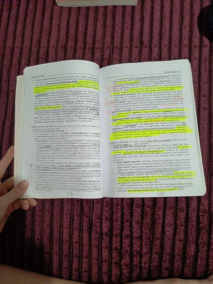 İnsan Anatomisi - Prof. Dr. Mehmet Yıldırım - Görsel 2