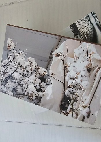 Dekoratif Kitap Kutu ve Biblo - Görsel 10