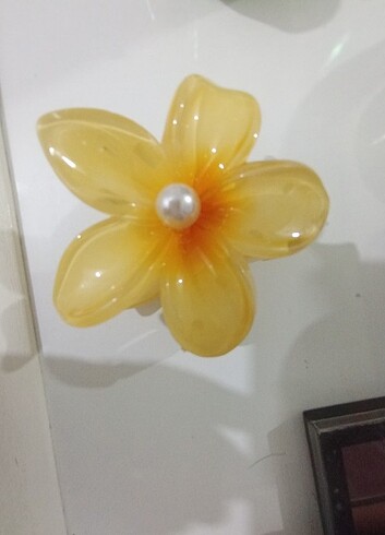 Lotus toka 