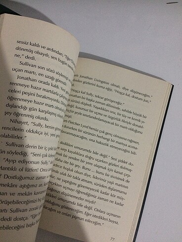  Beden Martı Jonathan Livingston