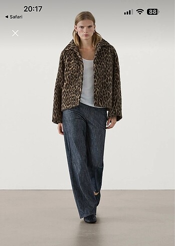 Massimo dutti ceket