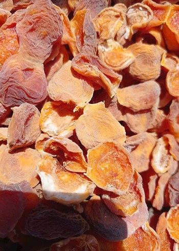 Kuru kayısı