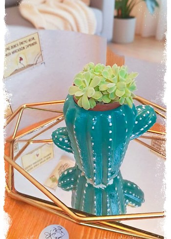 Renkli Kaktüs Mumluk ve Saksı - Görsel 4