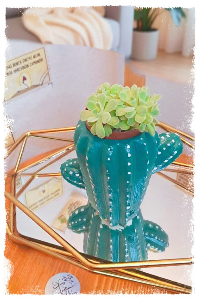 Renkli Kaktüs Mumluk ve Saksı - Görsel 4