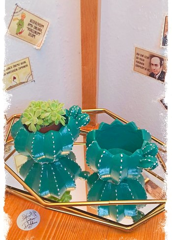 Kaktüs Şeklinde Dekoratif Saksı ve mumluk - Görsel 2