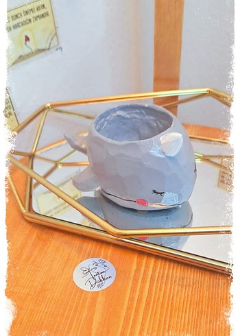 Denizlerin en tonton arkadaşıyla tanışın!  - Görsel 3