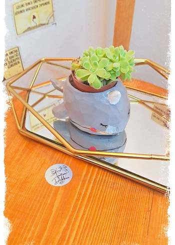 Denizlerin en tonton arkadaşıyla tanışın!  - Görsel 2