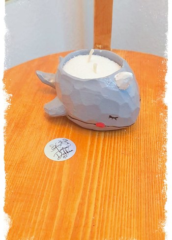 Denizlerin en tonton arkadaşıyla tanışın!  - Görsel 4