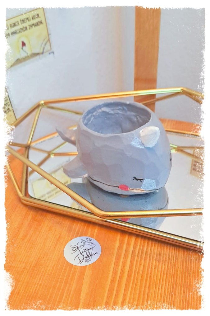 Denizlerin en tonton arkadaşıyla tanışın!  - Görsel 3