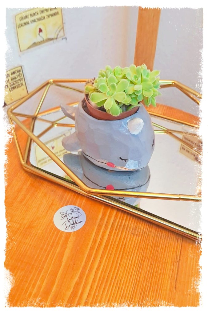 Denizlerin en tonton arkadaşıyla tanışın!  - Görsel 2