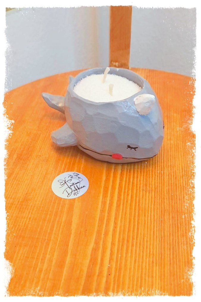 Denizlerin en tonton arkadaşıyla tanışın!  - Görsel 4