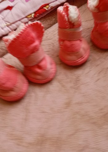 köpek ayakkabısı - Görsel 2