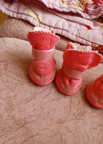 köpek ayakkabısı - Görsel 3