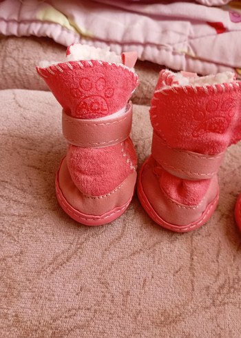 köpek ayakkabısı - Görsel 7