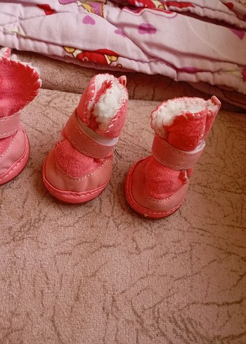 köpek ayakkabısı - Görsel 4