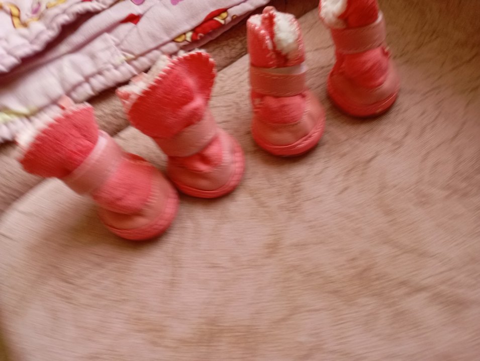 köpek ayakkabısı - Görsel 2