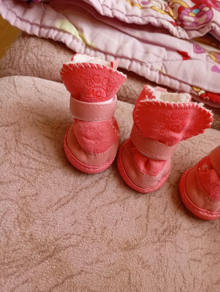 köpek ayakkabısı - Görsel 3