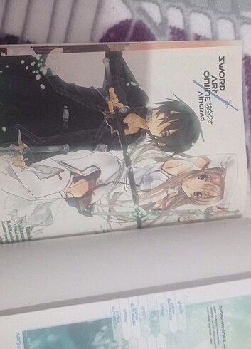  Beden Renk Sword art online manga