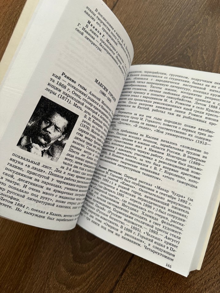 Rus Edebiyatı Kitabı 1. Cilt kapaklı - Görsel 4