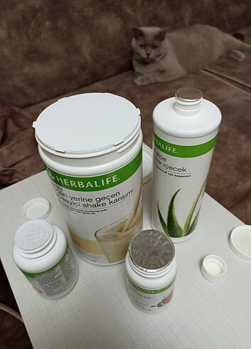 Herbalife 