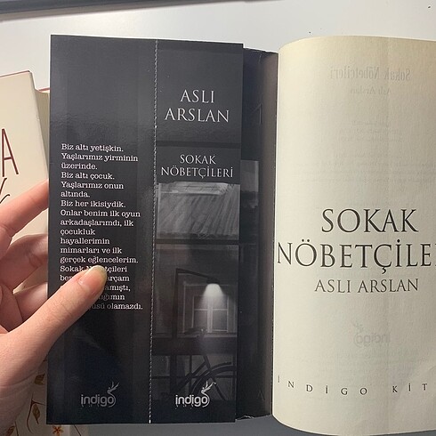 Beden Renk Sokak nöbetçileri