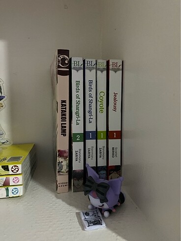 satılık yaoi manga