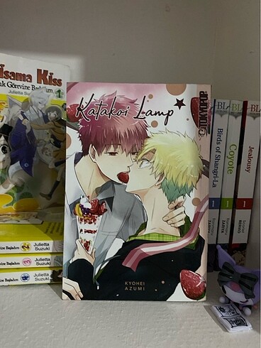 satılık yaoi manga