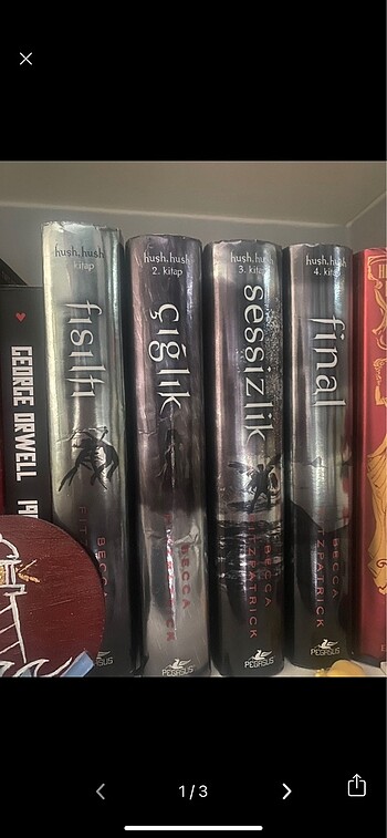 Hush hush serisi