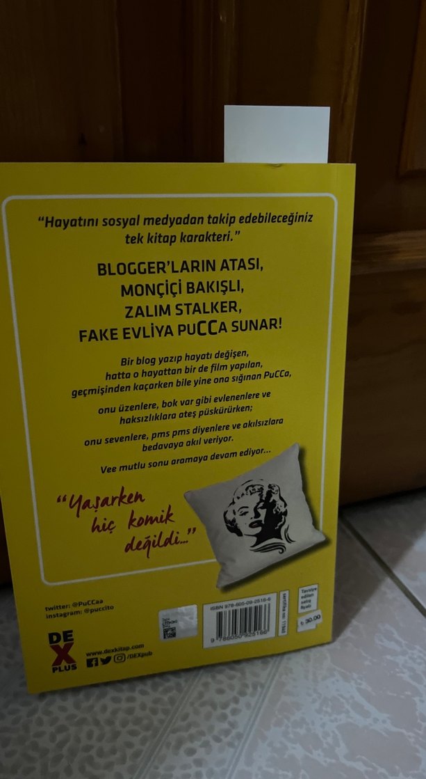 Pucca Günlük 5: O Adam Buraya Gelecek - Görsel 2