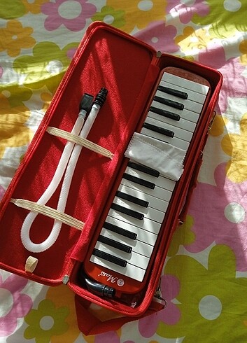 Melodika - Görsel 2