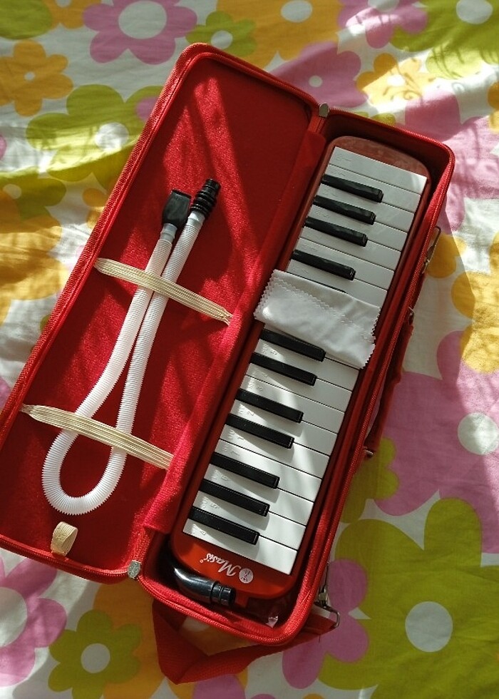 Melodika - Görsel 2