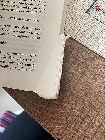 Uçurtma avcısı - Görsel 5