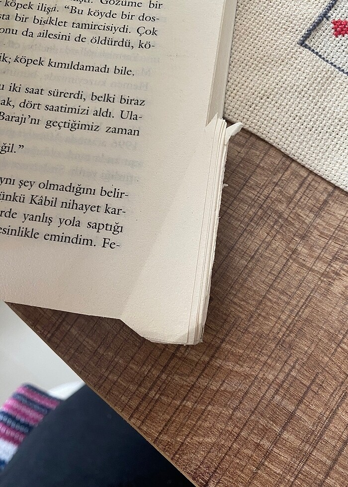 Uçurtma avcısı - Görsel 5