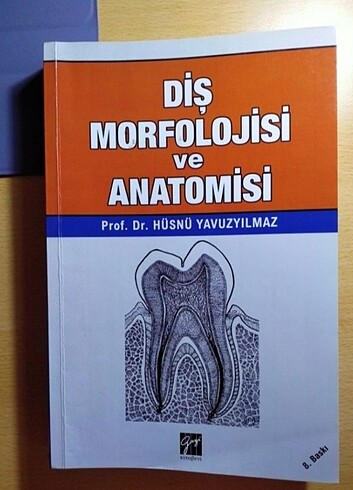 Diş morfolojisi ve anatomisi
