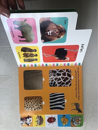  Beden Renk First Animals by Priddy Books