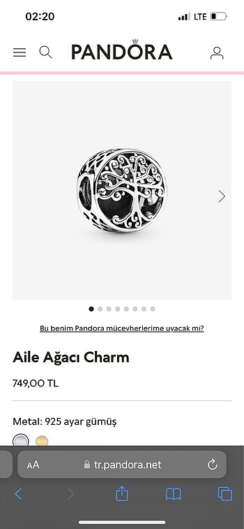 Pandora Charm