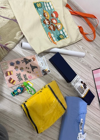 Siyah Yazı Aracı - Ginny Weasley - Görsel 11