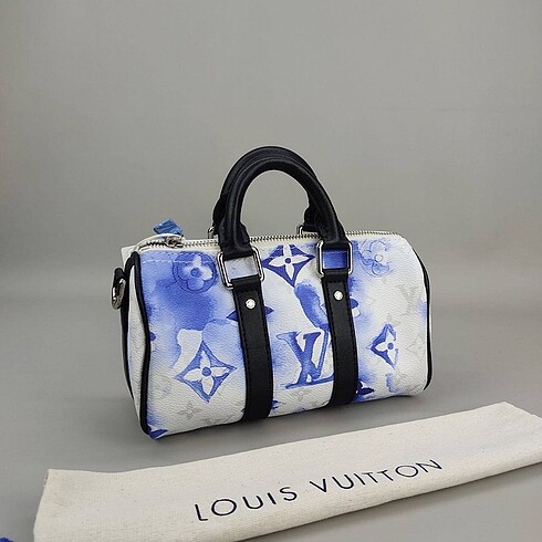 Louis Vuitton Speedy Mini