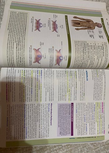Beden Junqueira Temel Histoloji Konu ve Atlas Kitabı