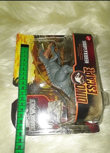  Beden Dinozor
